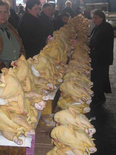 Tbilisi Market (Basroba) - bird flu anyone?