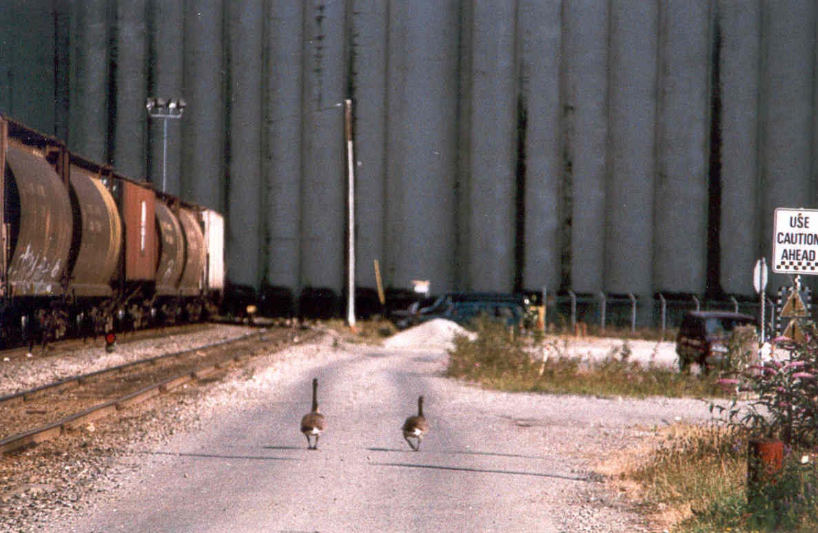 Marpole! Down by the Fraser River. I have a way with models as you can tell.