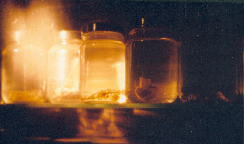 NY, NY - Turntables on the Hudson!